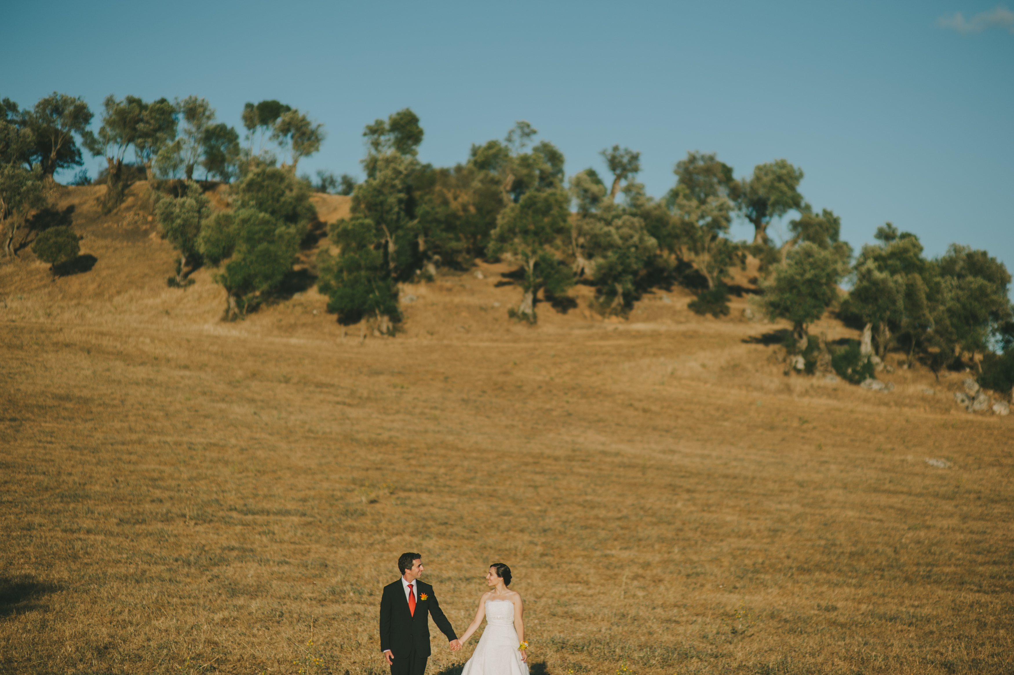 Carla + João | Wedding